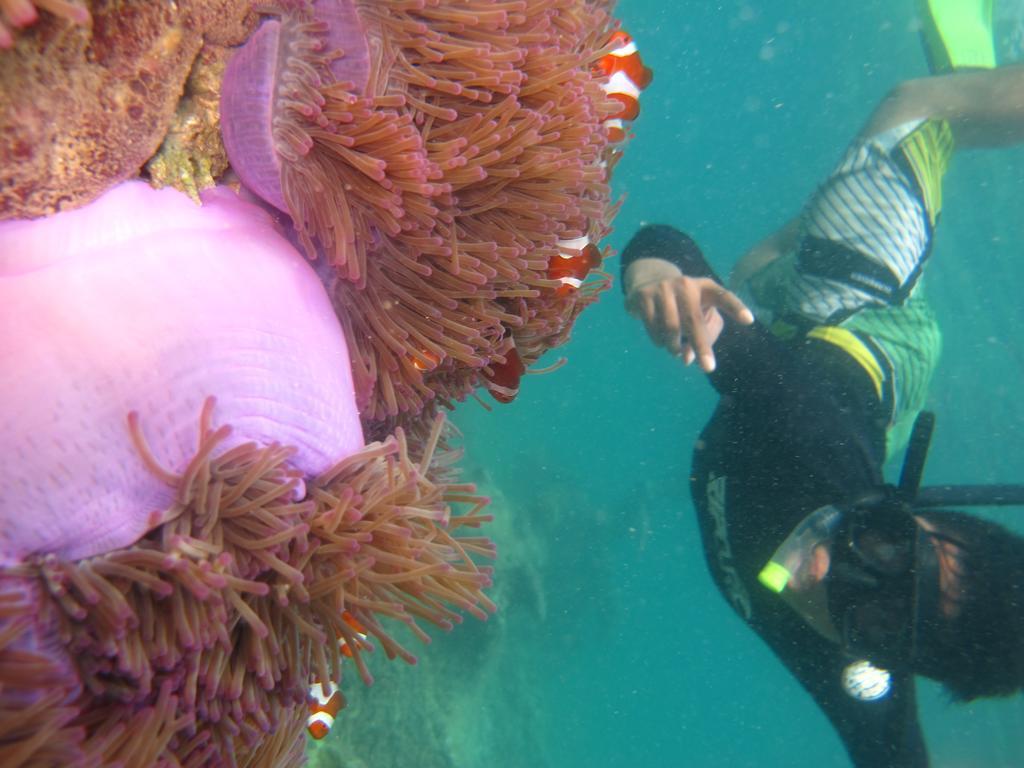 Ombak Dive Resort Perhentian Island Pulau Perhentian Kecil Zewnętrze zdjęcie