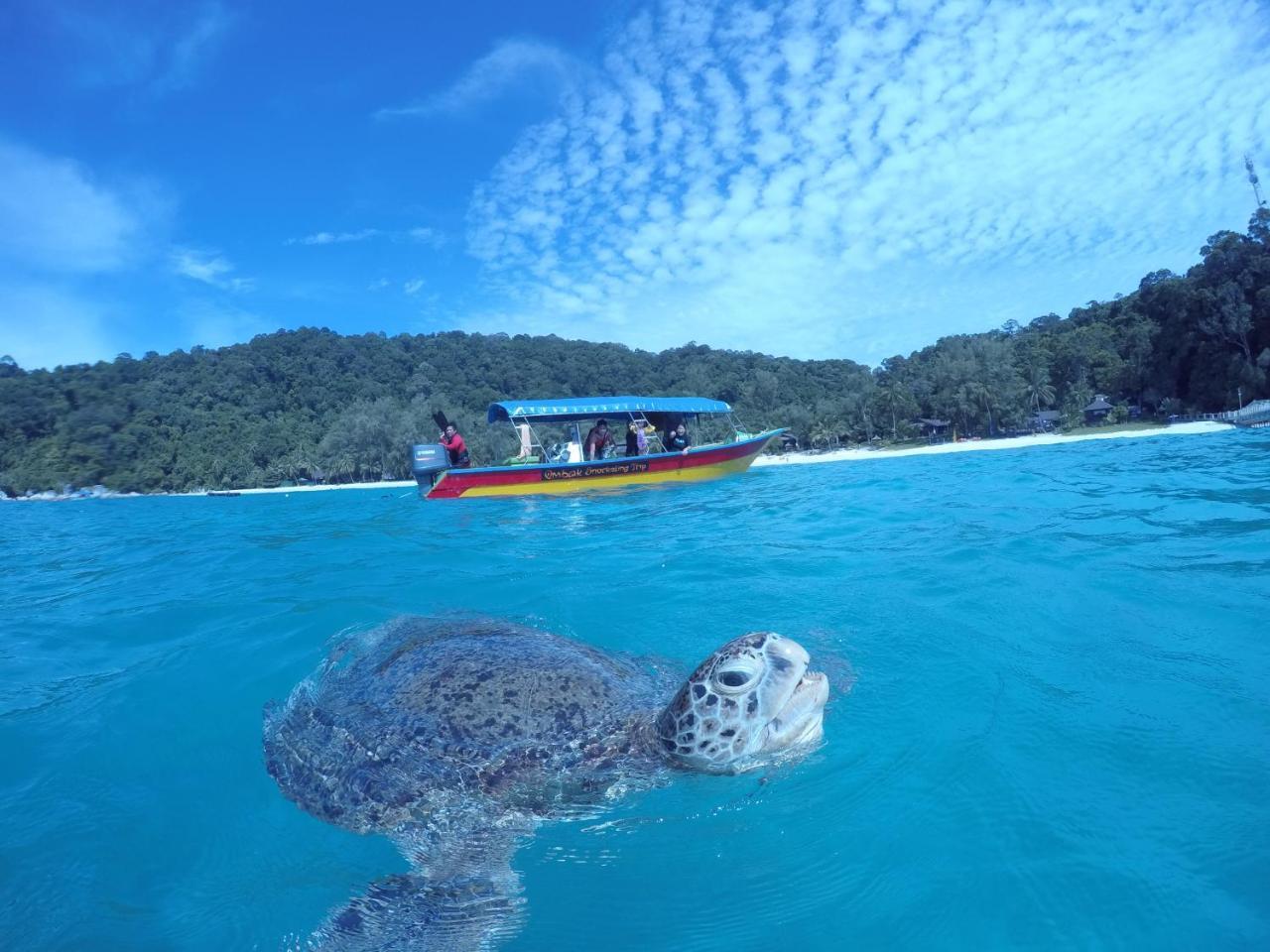 Ombak Dive Resort Perhentian Island Pulau Perhentian Kecil Zewnętrze zdjęcie